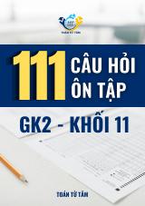 111 câu hỏi ôn tập kiểm tra giữa học kì 2 môn Toán 11